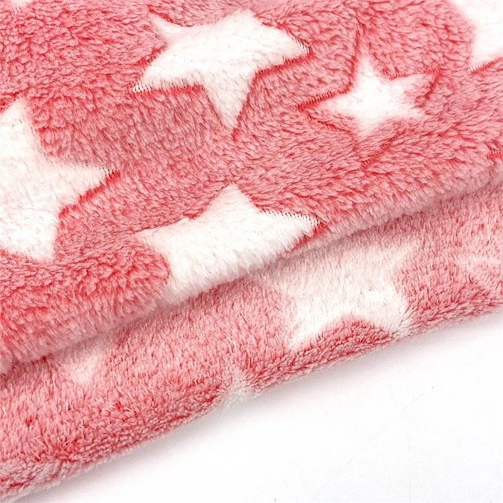 Back Printed Flannel Fleece Fabric